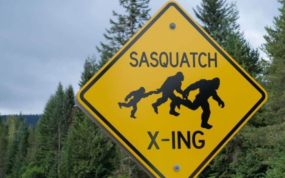 Spring Break Sasquatch