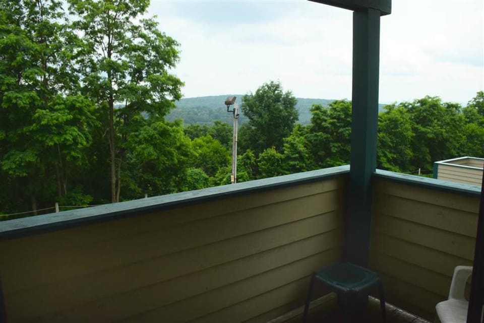 Private deck with wooded mountain views—perfect for morning coffee or evening chats in the fresh air.