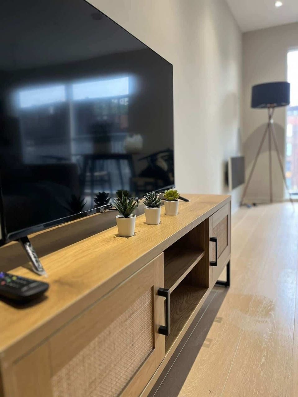 Basic Apartment, Balcony, City View | Living area
