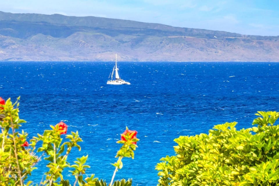 Serene boats pass by from time to time KBV-24G3