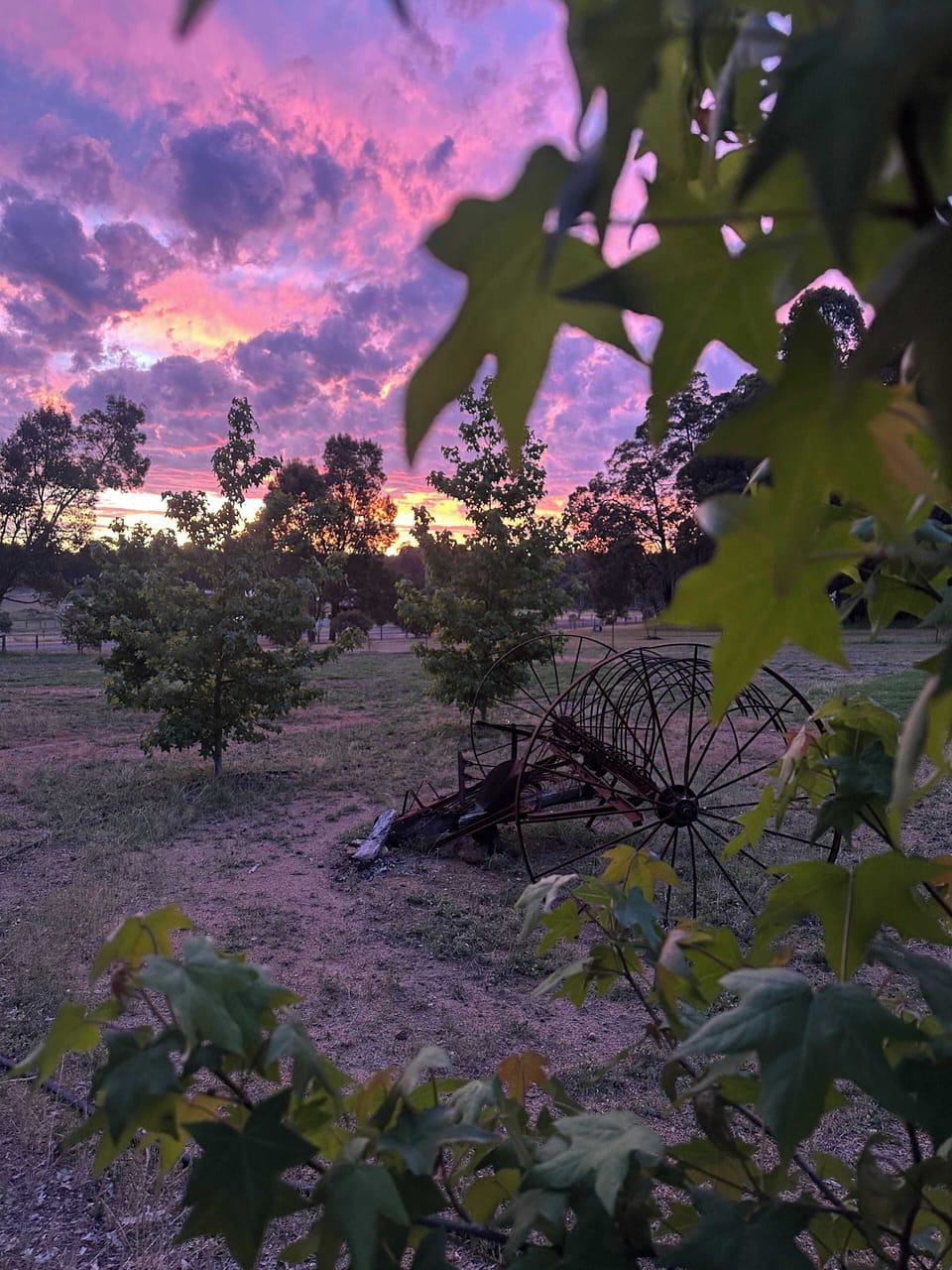 Miscellaneous