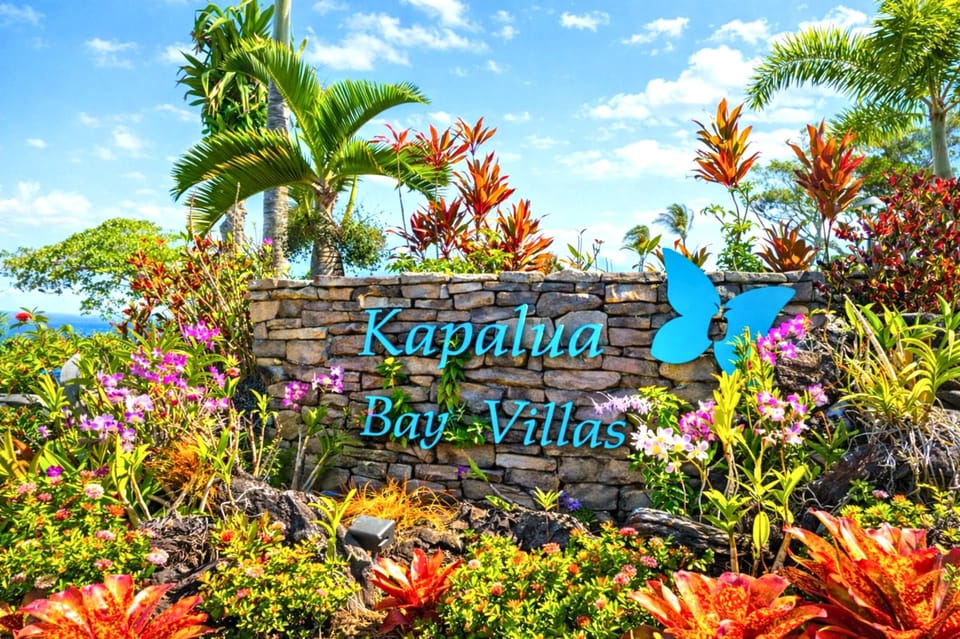 Step into a serene sanctuary where soft light, classic furnishings, and tropical textures create pure relaxation     KBV-28G2