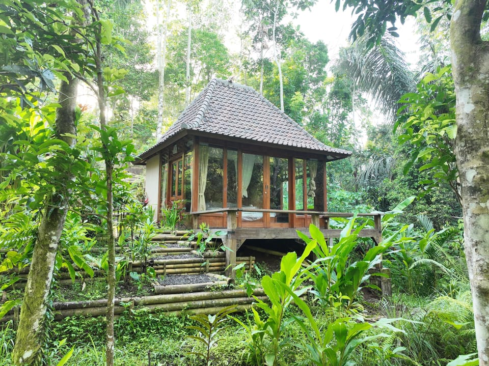 Cabin with Forest & River View | Blackout drapes, free WiFi, bed sheets