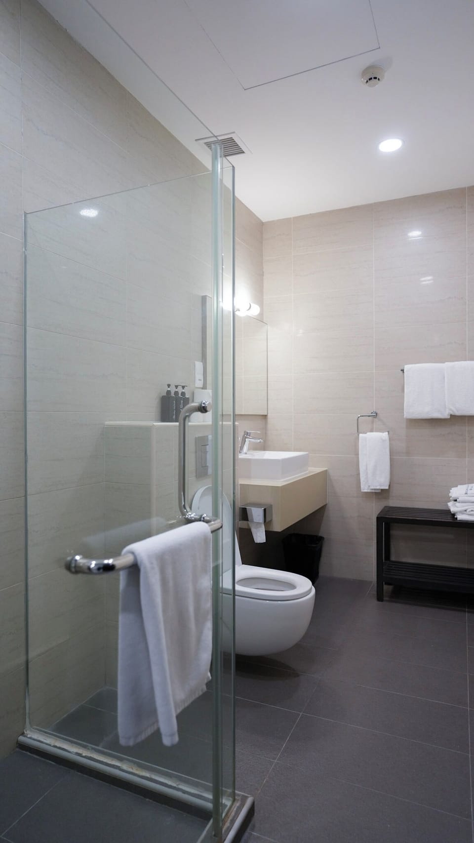 Shower, free toiletries, hair dryer, towels