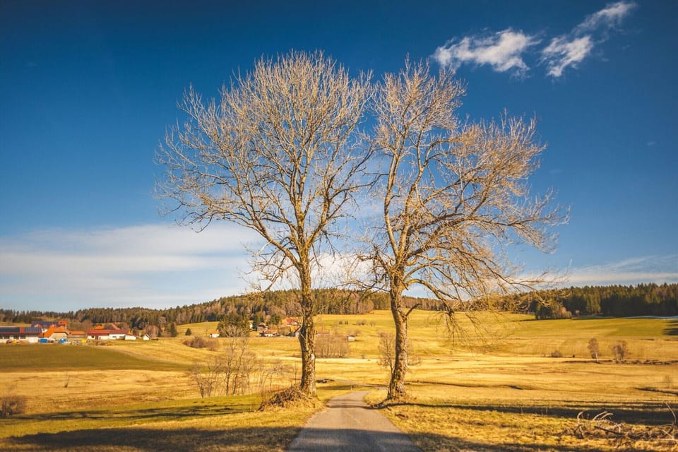 Surroundings [summer] (1-5 km)