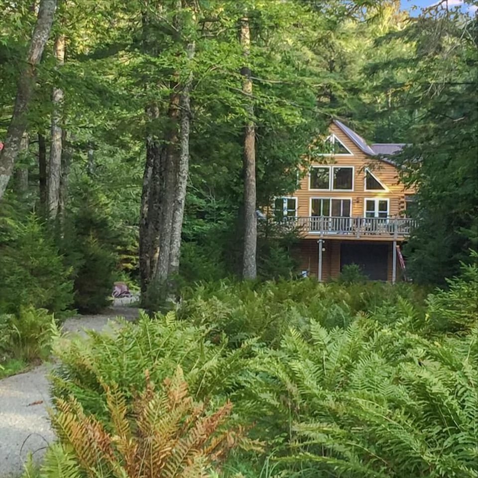 Hardy Boys Camp on Big Moose Lake