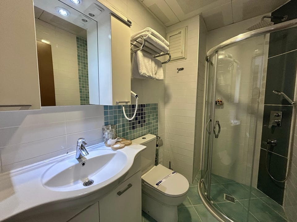 Standard Twin Room, 2 Twin Beds, City View | Bathroom | Shower, free toiletries, hair dryer, slippers
