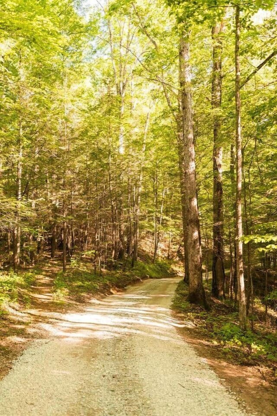 Road to The Ridge