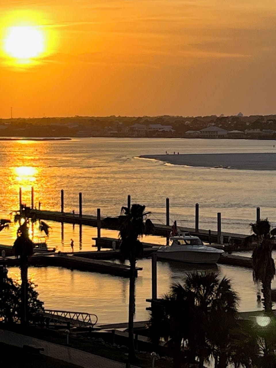 Enjoy a stunning sunset view over the bay, with palm trees framing the peaceful waterfront scene