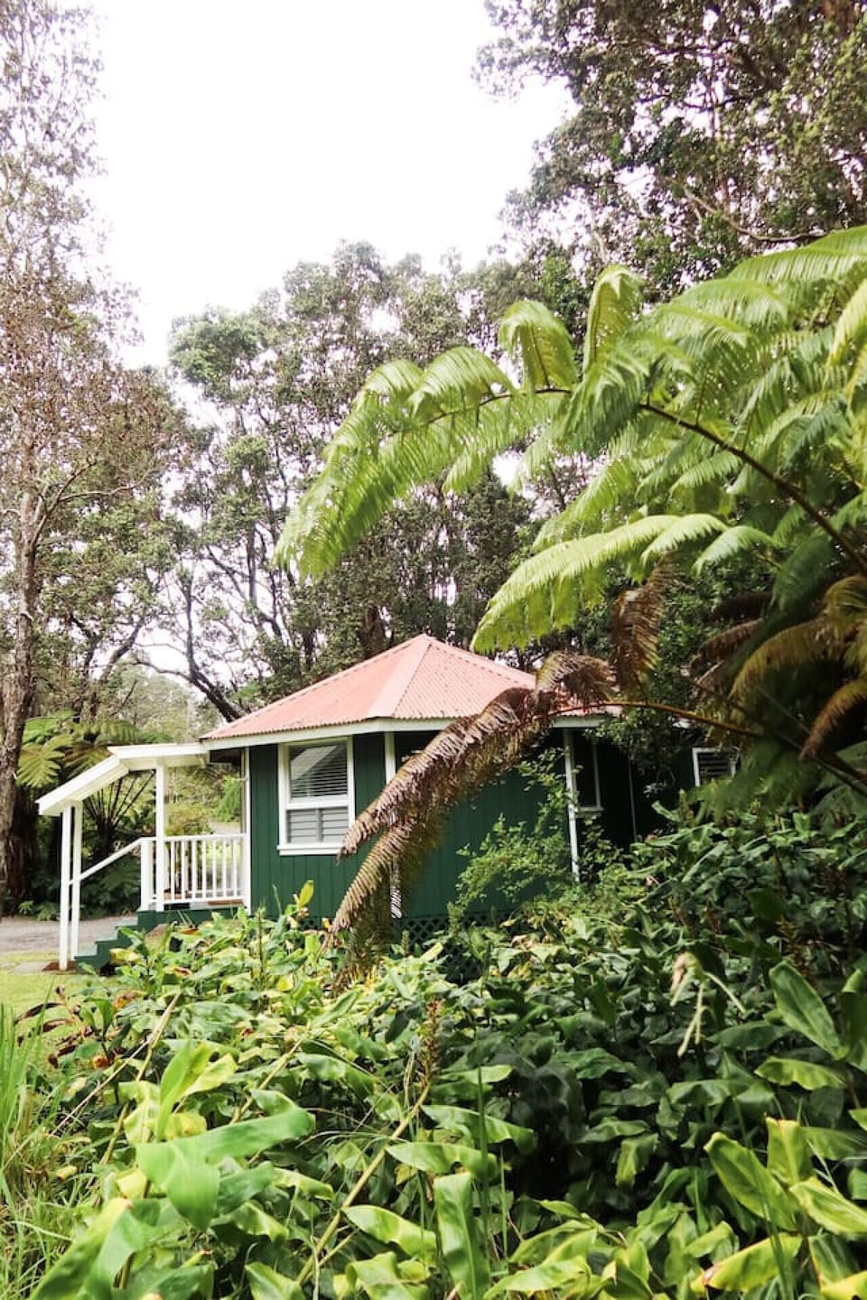 A jungle cottage