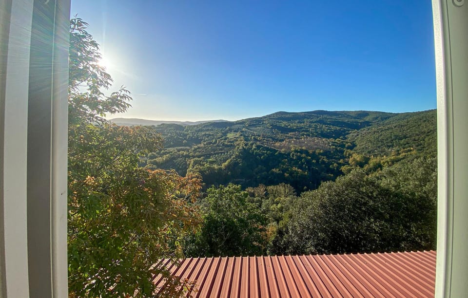 view-from-room