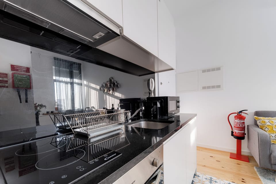 Basic Apartment, Balcony, City View | Private kitchen | Fridge, microwave, oven, stovetop