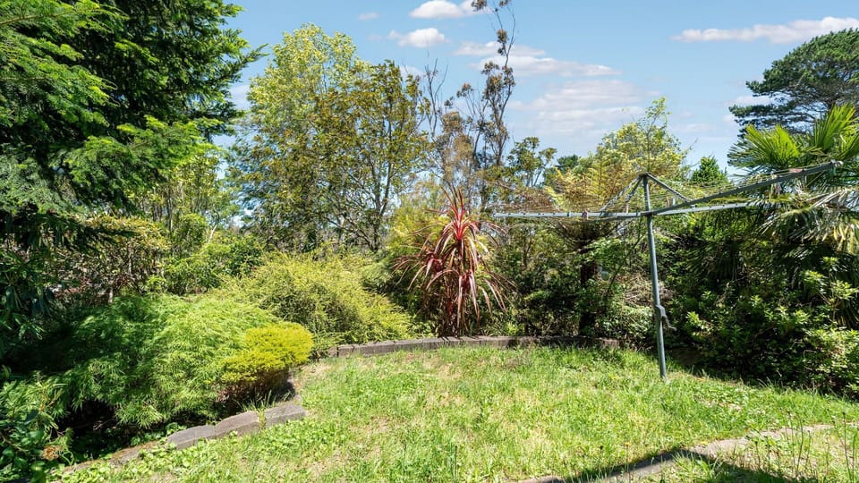 Sunny backyard surrounded by lush greenery