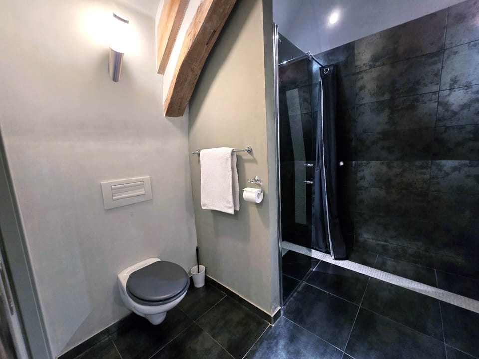 Voyage - Toilet