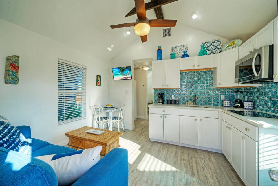 Bright living area complete with a sleeper sofa, TV, dining table, and kitchenette.