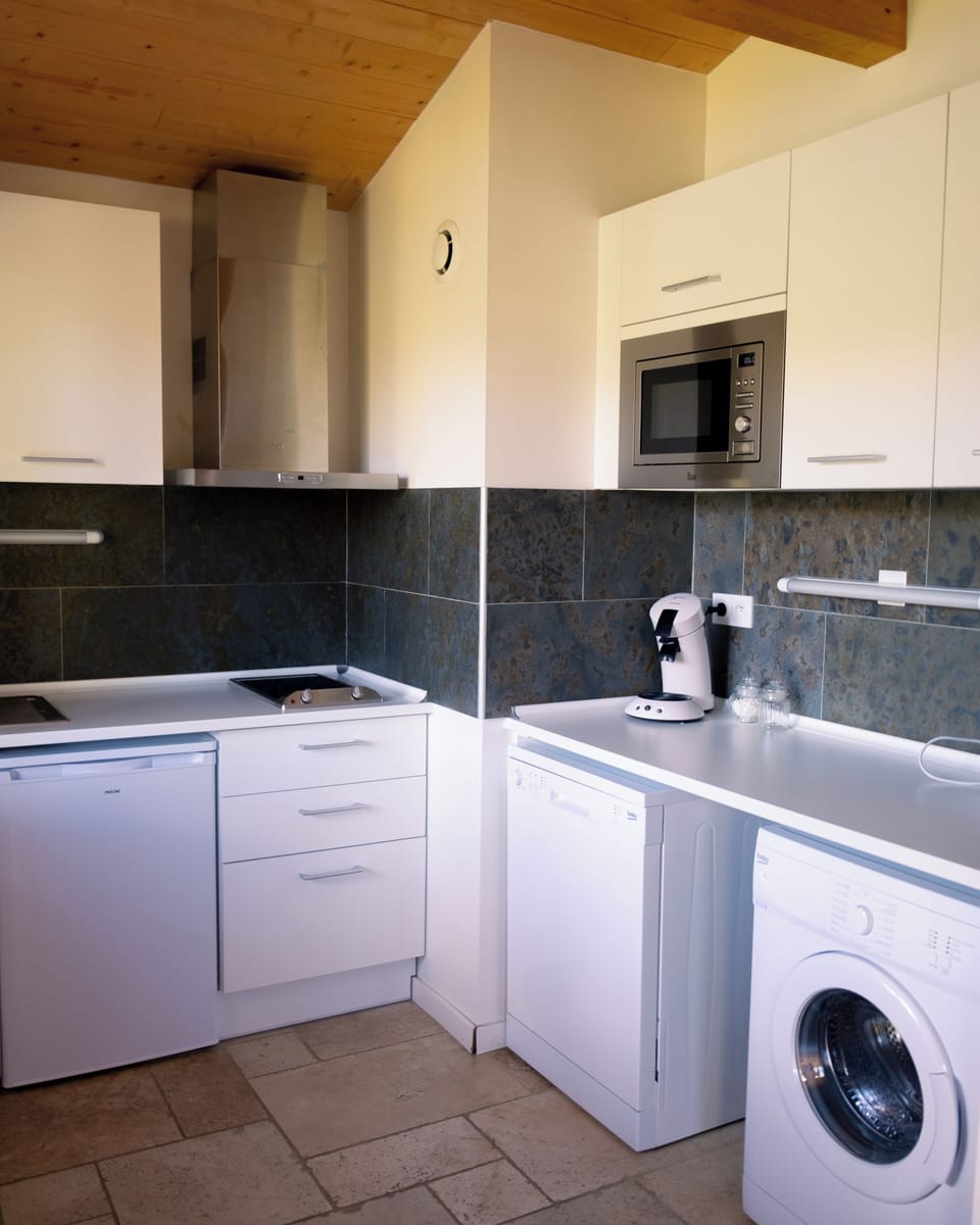 Mini-fridge, microwave, stovetop, dishwasher