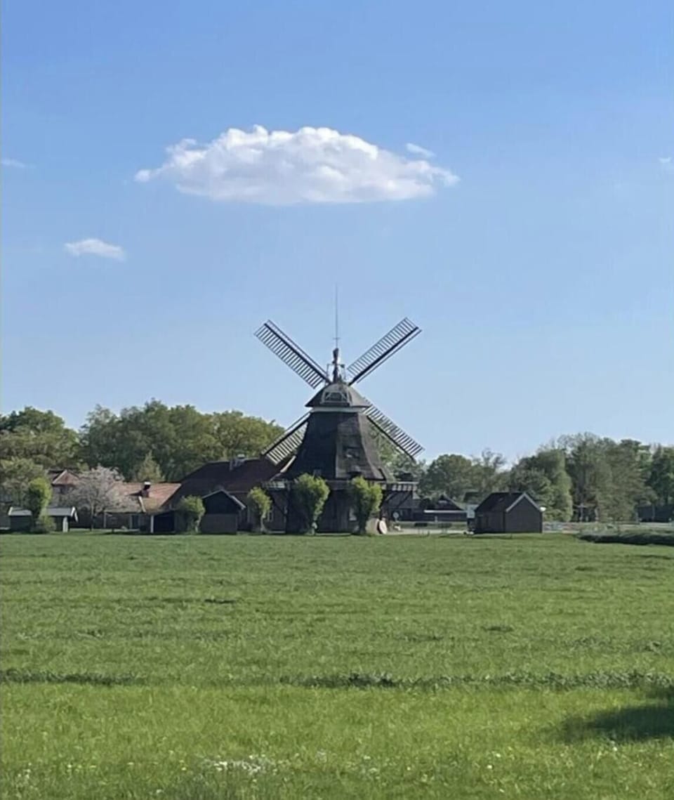 Surroundings [summer] (1-5 km)