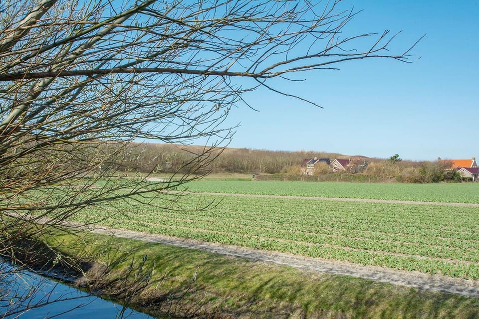 Surroundings [summer] (1-5 km)