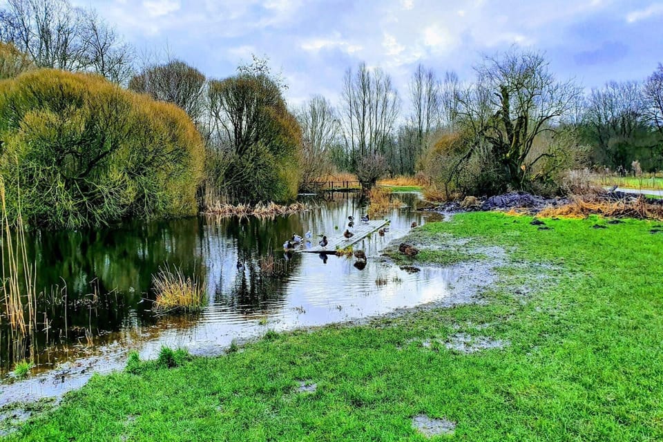 Surroundings [summer] (1-5 km)