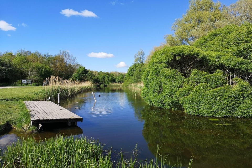 Surroundings [summer] (1-5 km)