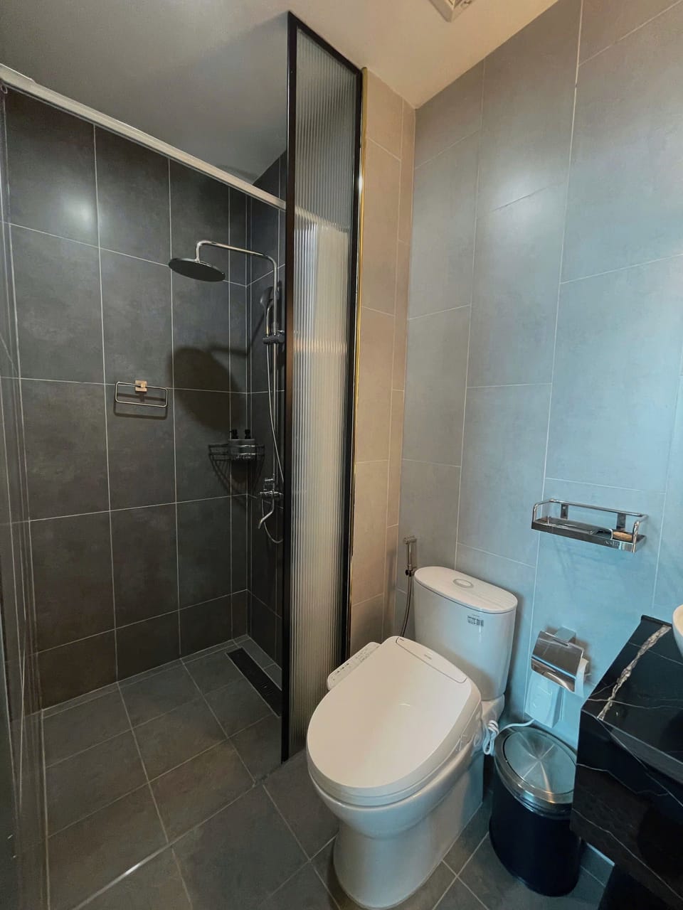 Shower, hair dryer, slippers, bidet