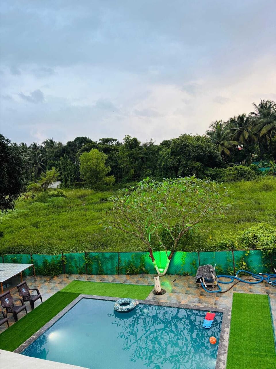 Garden view