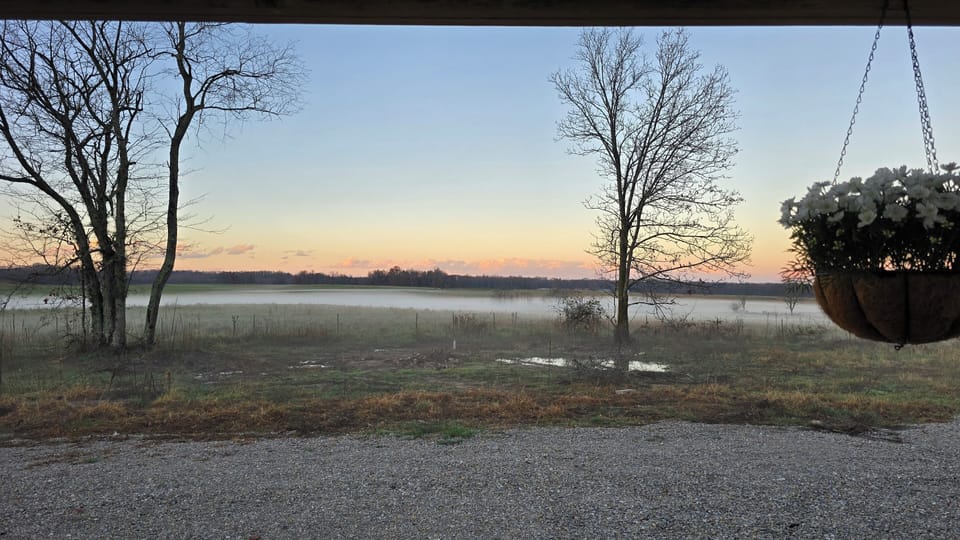 View from property