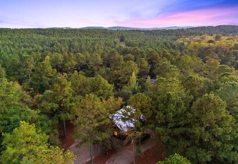 Aerial view of the cabin nestled in the trees for complete privacy.