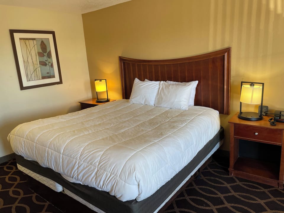 Basic Single Room | Iron/ironing board, free WiFi