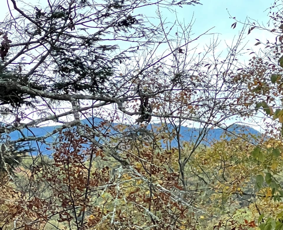 Amazing fall mountain view from the balcony..