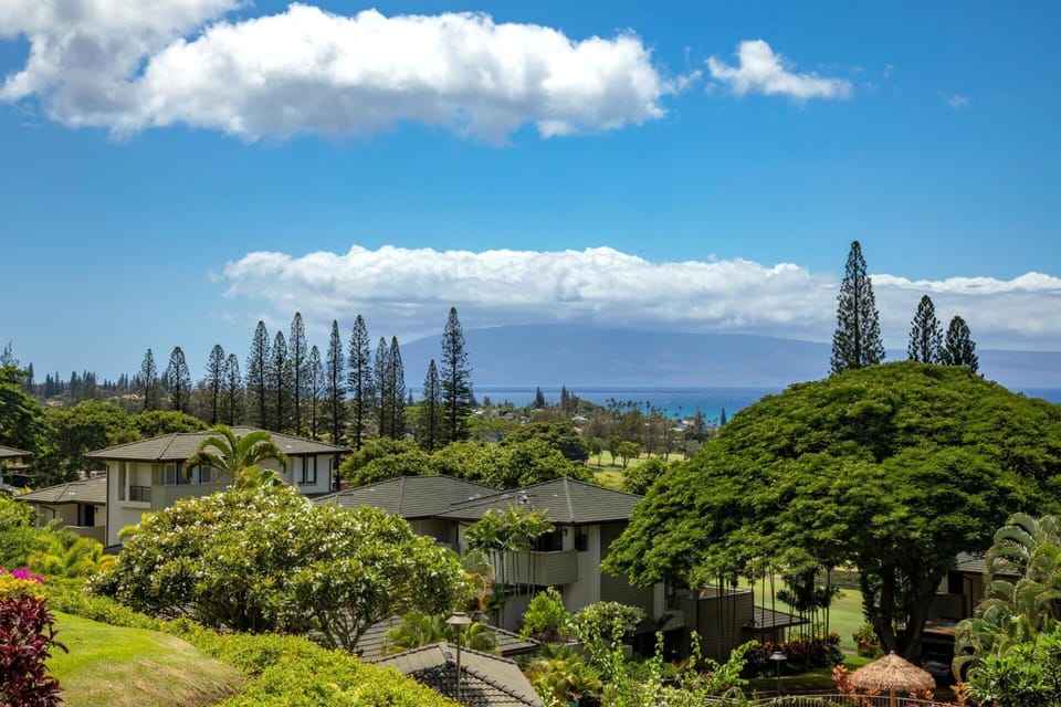 Every morning, this view reawakens wonder—layered trees, vibrant greens, and the rhythm of life moving quietly     KGV-22P2