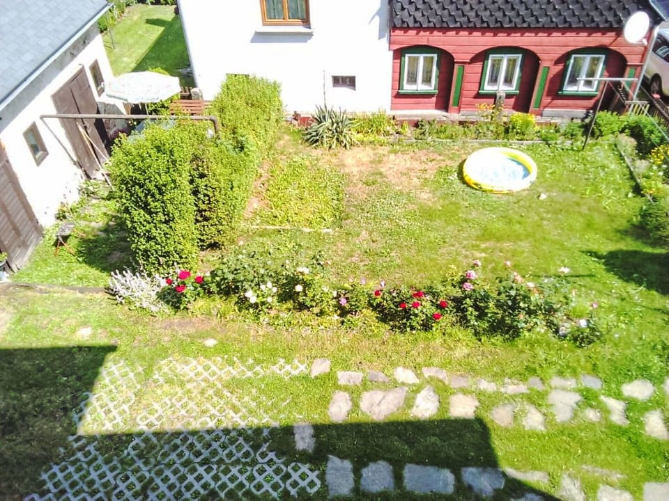 Garden, Shrub, Lawn, Groundcover, Backyard, Yard, Landscaping, Courtyard, Walkway