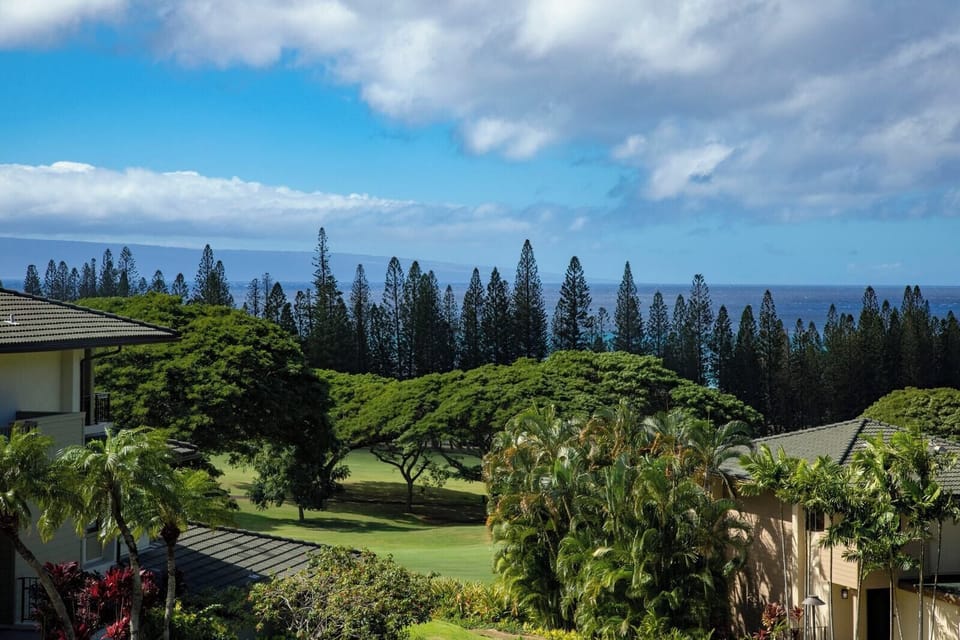 Woke up in a postcard again, trees swaying, ocean winking, and me deciding between a nap or a pina colada. KGV-20T2