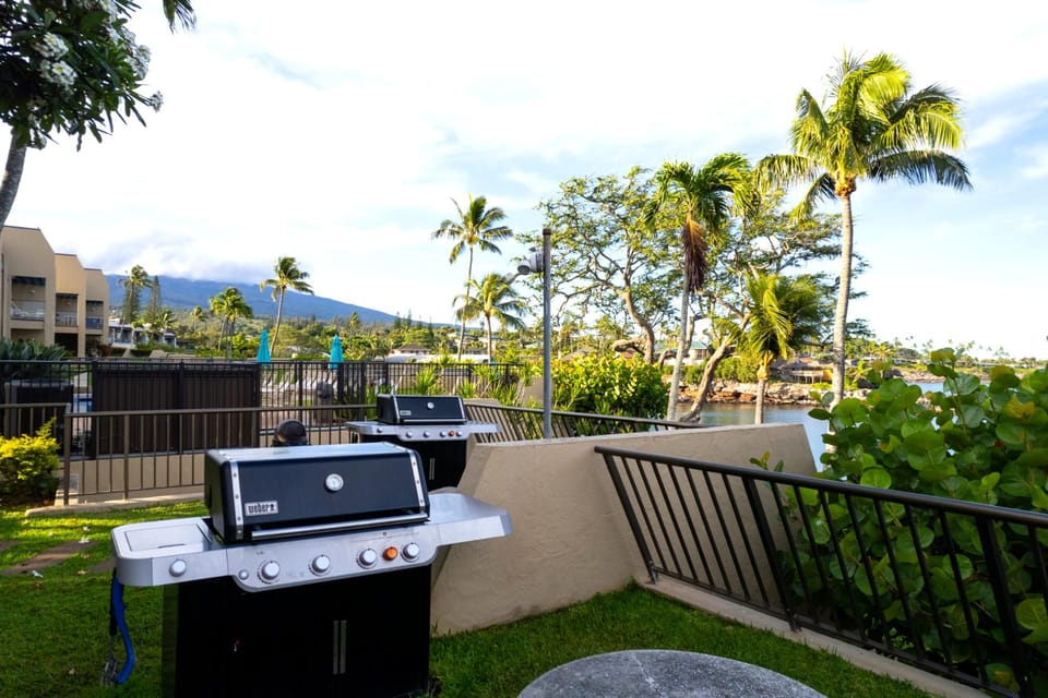 Gorgeous ocean view from the kitchen, so you can enjoy the scenery while preparing meals or drinks. NAP-C37