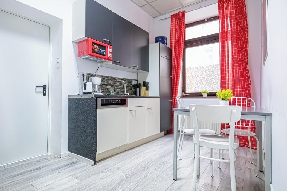 Basic Apartment | Private kitchen | Mini-fridge, microwave, stovetop, dishwasher
