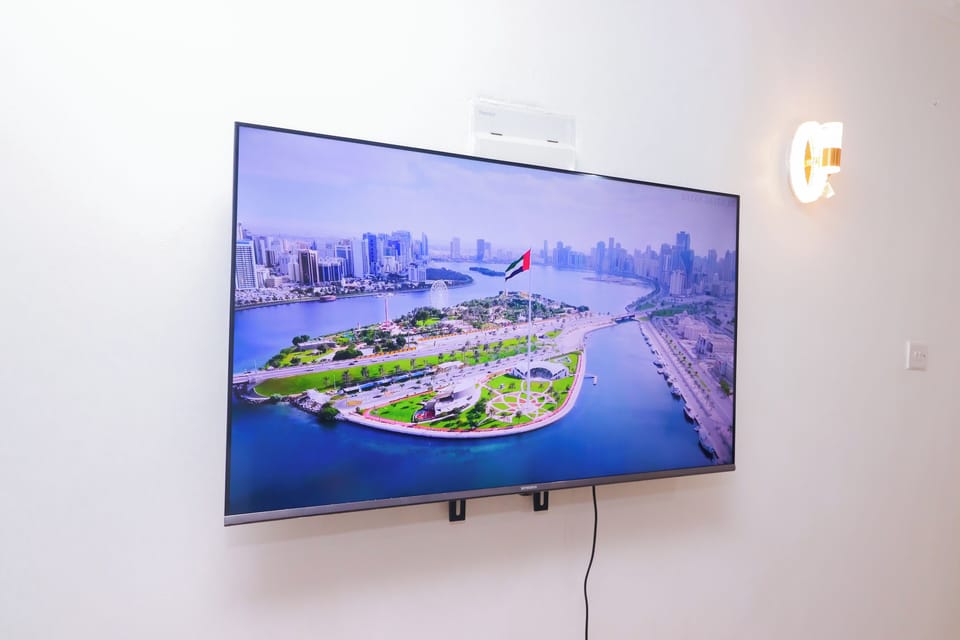 Television