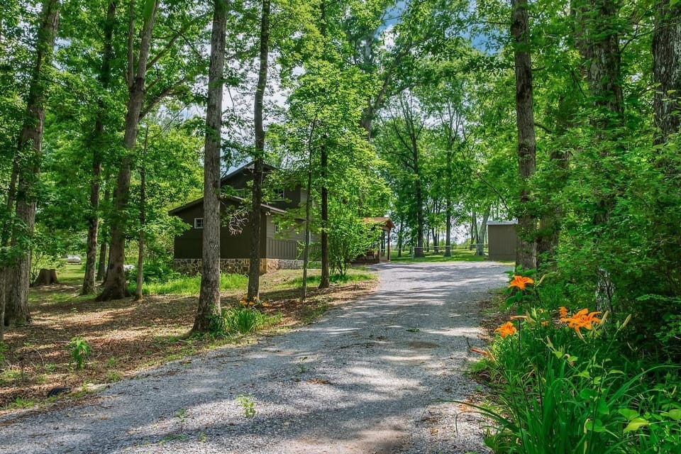 The scenic route to your getaway—where traffic jams mean a squirrel crossing.