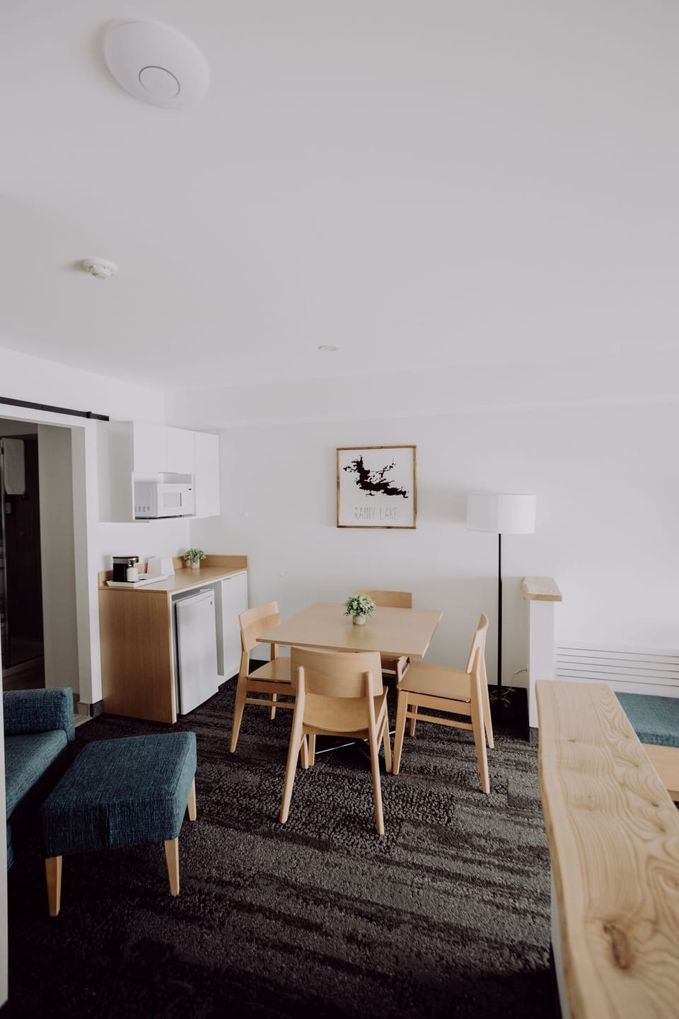 Premium Studio, 1 King Bed, Kitchenette, Lake View | Premium bedding, pillowtop beds, minibar, desk