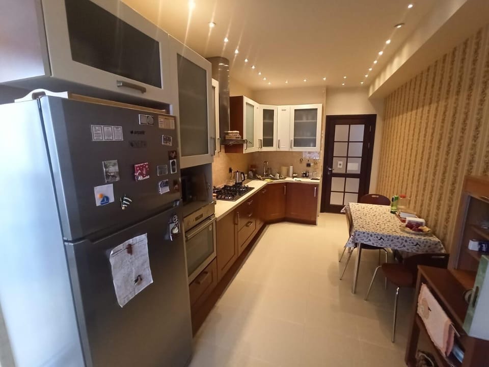 Apartment, City View | Private kitchen | Full-size fridge, microwave, cookware/dishes/utensils