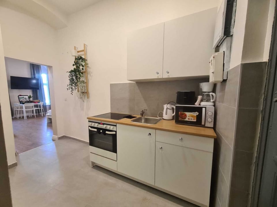 Basic Apartment | Private kitchen | Fridge, microwave, oven, stovetop