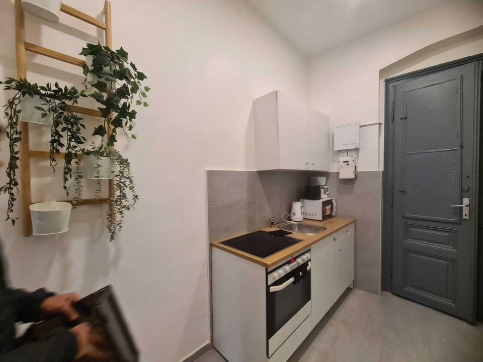 Basic Apartment | Private kitchen | Fridge, microwave, oven, stovetop