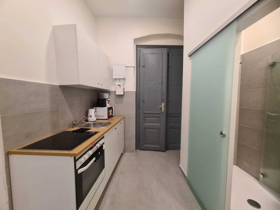 Basic Apartment | Private kitchen | Fridge, microwave, oven, stovetop
