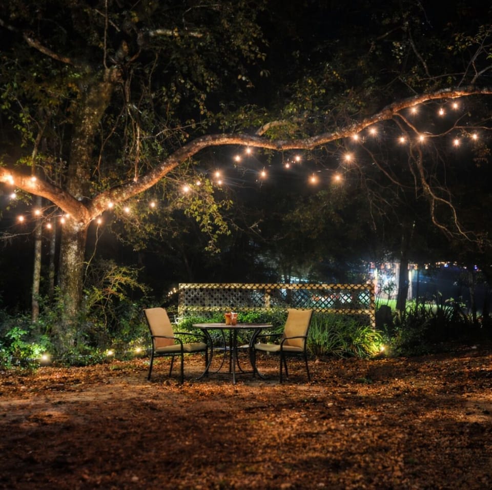 Charming seating beneath trees, with string lights and fire pit!