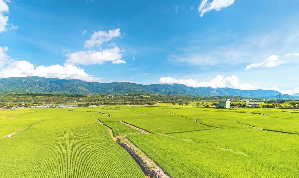 Panoramic Quadruple Room, 1 Bedroom, Balcony, Mountain View | Terrace/patio