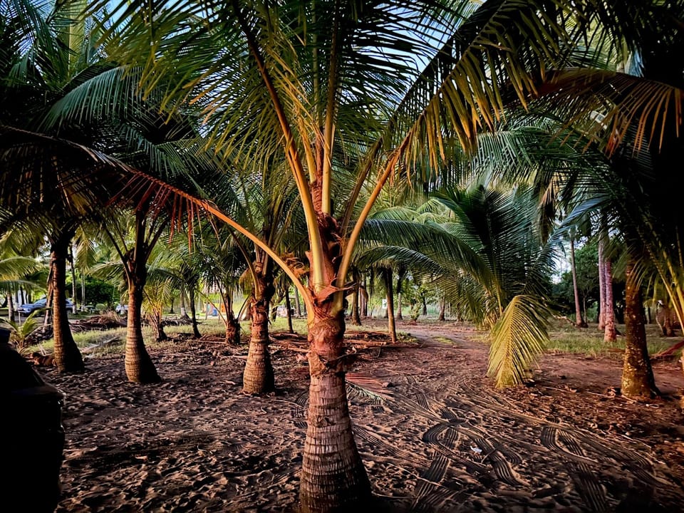 Miscellaneous
