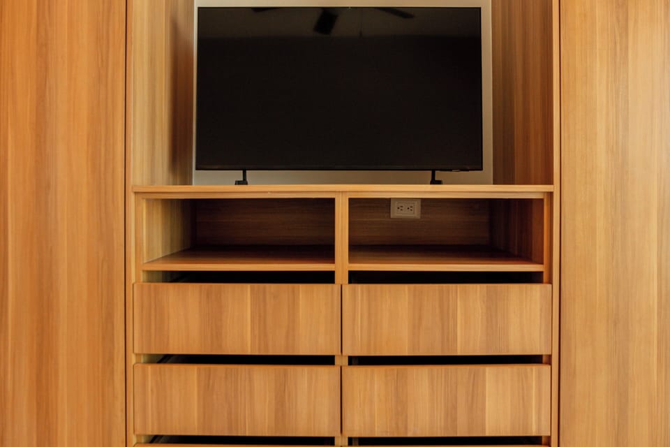 Television