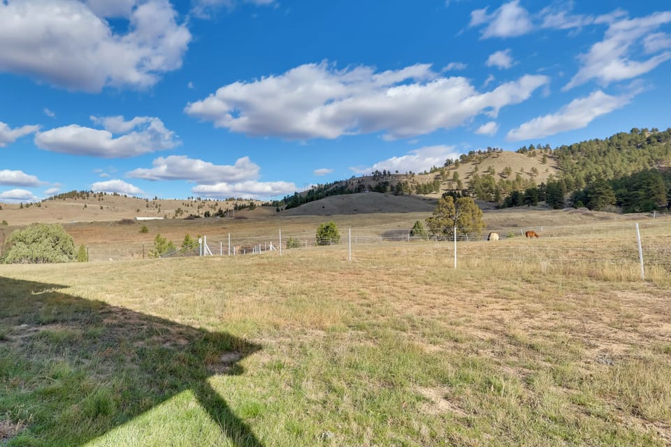 Mountain & Pasture Views | Horses On-Site