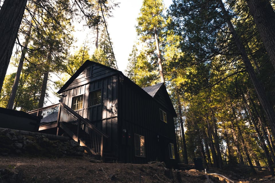 Your private cabin hideaway surrounded by towering pines.