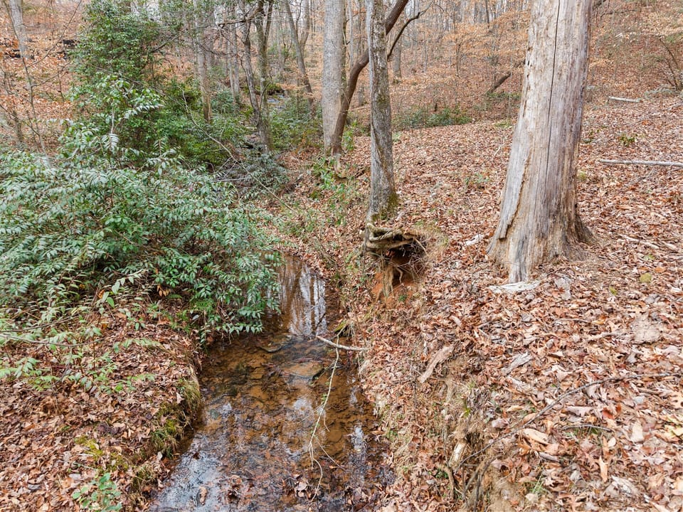 Amazing water sounds of the creek below.