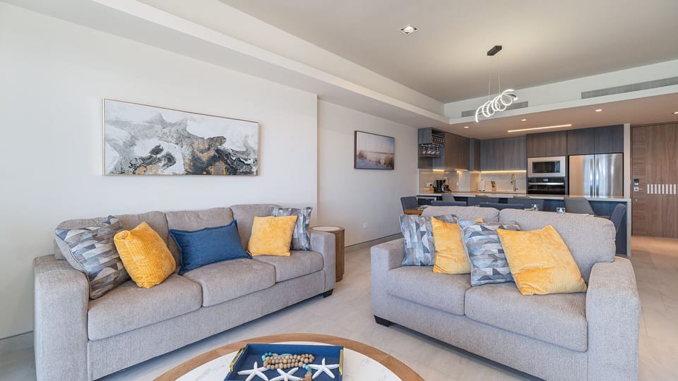 twin sofas in the living room